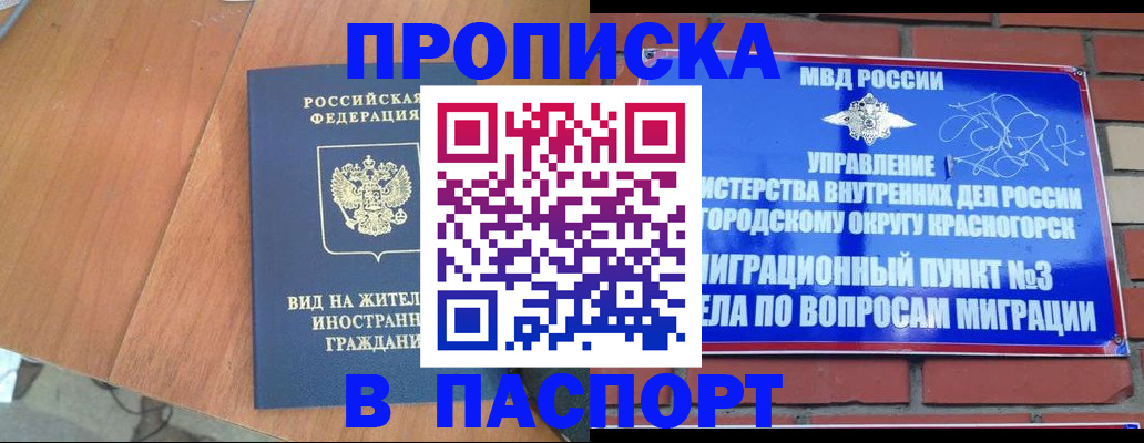 найти адрес прописки в Кингисеппе